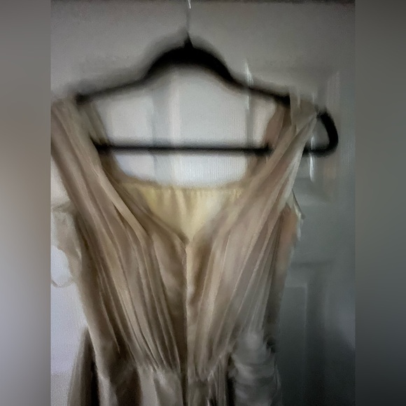 Lucia Rodriguez Champagne Gown Size 2 - Picture 3 of 8